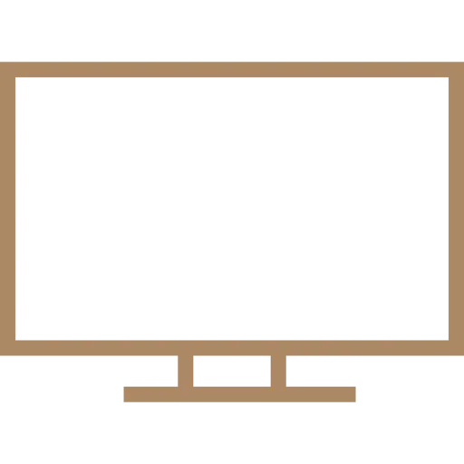 Televizyon